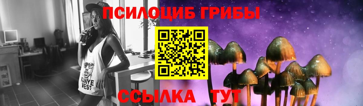 магазин продажи наркотиков  Галлюциногенные грибы Cubensis  Вход с VPN  Вичуга 